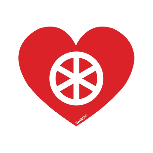 MainzMotion app icon