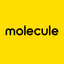 Molecule Fashion & Sport icon