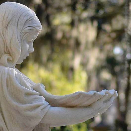 Bonaventure Cemetery Tours app icon