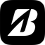 Bridgestone Education Network icon