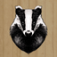 Wildhoeve Woudlopers icon