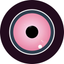 LinRecord - Video Recorder icon