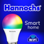 Hannochs Smart Home icon