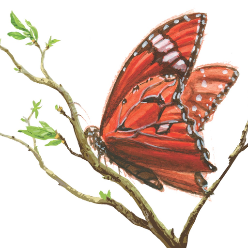 Dust in the Wings app icon
