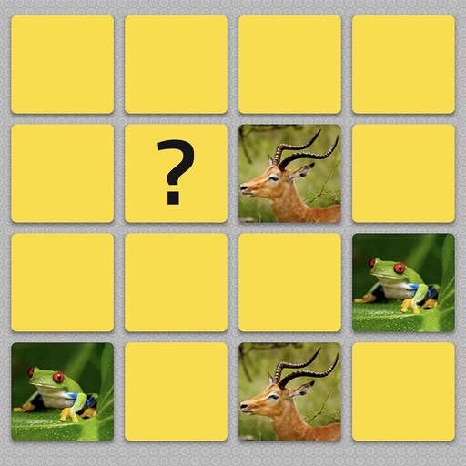 Find The Pairs app icon