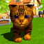 Colored Kittens, unique pet icon