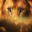 Animals Home icon