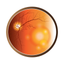 AMD & Anti-VEGF Therapy icon