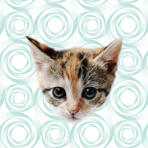 Cute Kitten - Stickers app icon