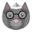 SmartCAT 3.0 icon