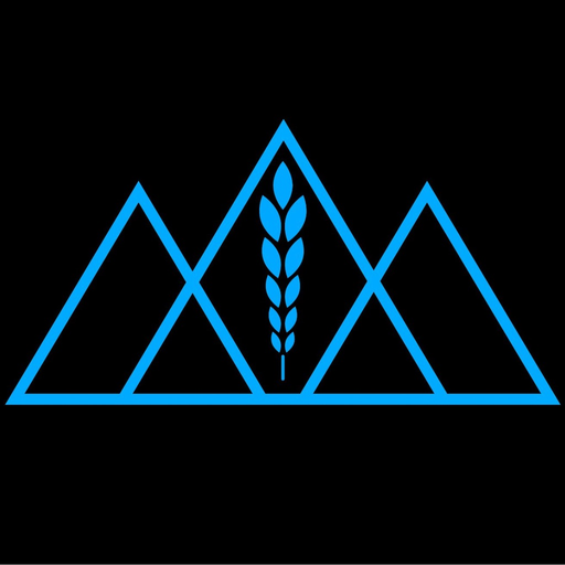 Newsom Analysis app icon