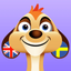 Learn Swedish + icon