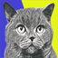 Smart Background Removal icon