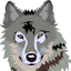 Wolf Dictionary App icon