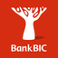 Bank BIC NA Limited icon