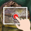 TapADot-Dinosaurs icon