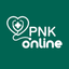 PNK Online icon