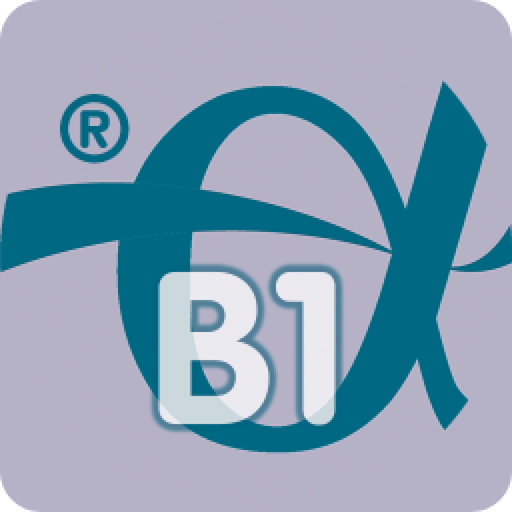 Englisch Basis 1 app icon