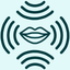 Echo Chamber icon