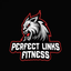 Perfect Links Fitness icon