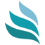 LionBizAdvisor icon