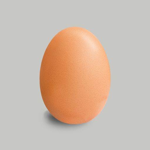 Egg Timer Pro + app icon