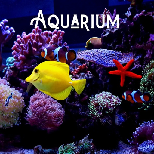Deap Sea Aquarium 4K app icon