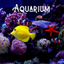 Deap Sea Aquarium 4K icon