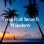 Tropical Beach Window icon
