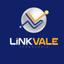 LinkVale icon