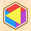 Color Shape Puzzle icon