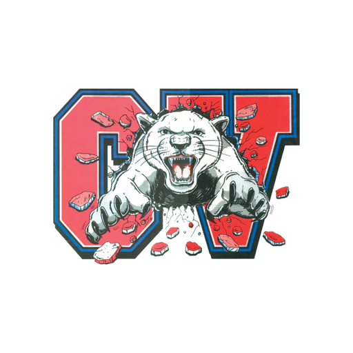 Cassadaga Valley Central SD app icon