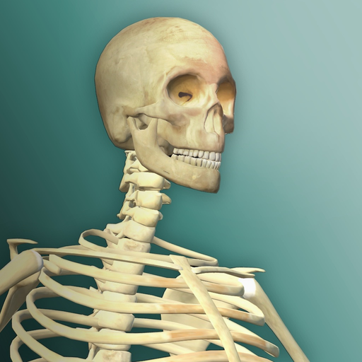 Idle Human 2 app icon