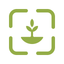 TreeCorder icon