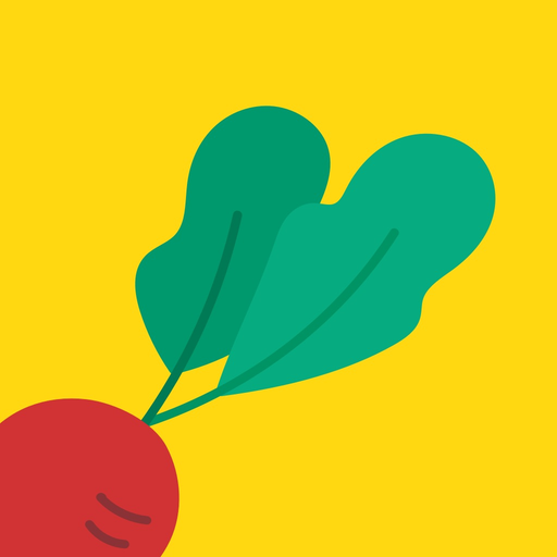 Salad Timer - Study & Focus app icon