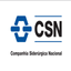 Condutor CSN icon