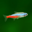 Tropical Fish Tank - Mini Aqua icon