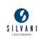 Silvani icon