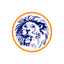Carterville Lions icon