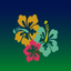 Hawaiian Music Live icon