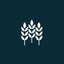 Easygrowth icon