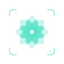 Photo Plant Identification icon