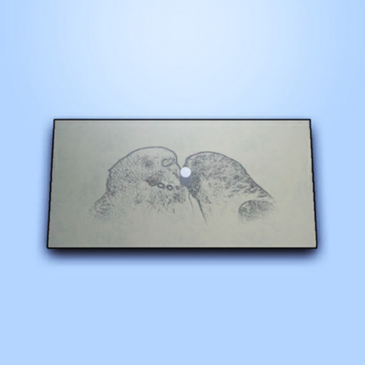Printer Simulator 3D app icon