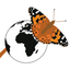 Butterfly Migration icon