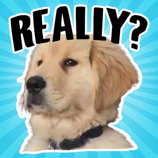 Golden Retriever Stickers app icon