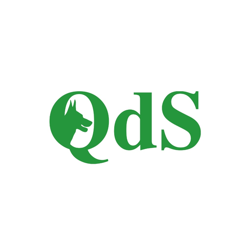 QDS -Quotidiano di Sicilia app icon