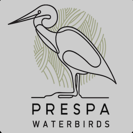 PrespaWings app icon