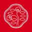 My Shiseido icon