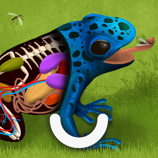 The Animals - Games For Kids app icon