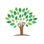 Ade Store icon